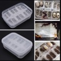 Інкубатор пластиковий Terrario EggIncubator на 12 яєць для рептилій і дрібних птахів