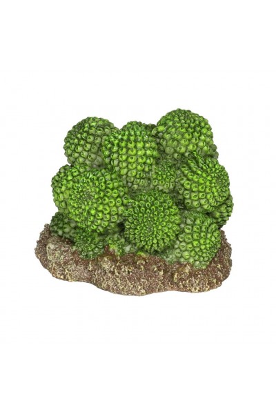 Декорація штучний кактус Hobby Cactus Atacama 7x6x5см (37018)