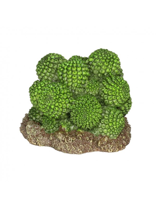 Декорация искусственный кактус Hobby Cactus Atacama 7x6x5см (37018)