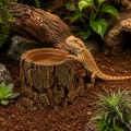 Декорация Hobby Forest Stump 14×12,5×10 см - декоративный пень, поилка для террариума (40848) Декорация Hobby Forest Stump 14×12,5×10 см - декоративный пень, поилка для террариума (40848)