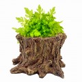 Декорация Hobby Wildwood Stump 15×14,5×9 см - декоративный пень, поилка, горшок для террариума (40849) Декорация Hobby Wildwood Stump 15×14,5×9 см - декоративный пень, поилка, горшок для террариума (40849)