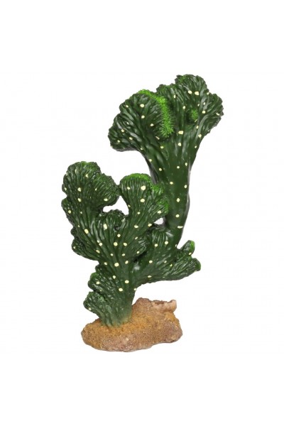 Декорація штучний кактус Hobby Cactus Victoria 2 13x8x22 (37020)