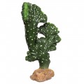 Декорация искусственный кактус Hobby Cactus Victoria 2 13x8x22 (37020)