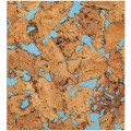 Фон для террариума Repti-Zoo Sky Forest Background 20x20 (NCB2020)