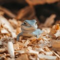 Натуральна деревна підстилка Aventerra DRAGOON Alder Small 4л для рептилій, павуків і гризунів