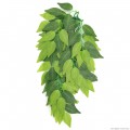 Искусственное растение Repti-Zoo Ficus 40см (TP002)