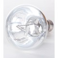 Лампа ртутная Repti-Zoo SuperSun UVA/UVB 75W (P80075)