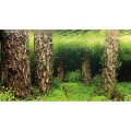 Задний фон Hobby Scaping Hill/Scaping Forest 120x50см (31032)
