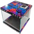 Морський акваріум Dupla Ocean Cube 80 45x45x40см (81476)