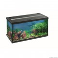 Аквариумный комплект Eheim aquastar 54 LED черный (0340645)