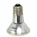Лампа галогенная для точечного нагрева UVA Repti-Zoo Spot lamp 50W (PAR2050)