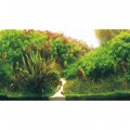 Задний фон Hobby Planted River/Green Rocks 120x50см (31045)
