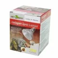 Лампа галогенова точкового нагріву UVA Repti-Zoo Spot lamp 75W (PAR3075)