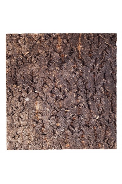 Фон з кори для тераріуму Repti-Zoo Big Tree Background 45x45 (NCT03)