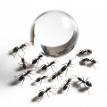 Вода в кульках для комах Terrario Beastie Drink Balls 500мл.