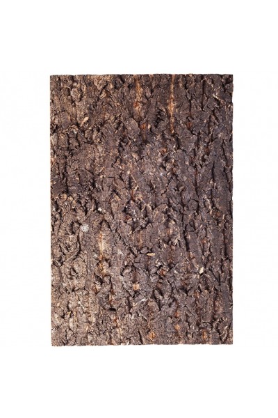 Фон з кори Repti-Zoo Big Tree Background 45x60 см (NCT05) для тераріуму