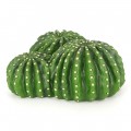 Декорація печера кактус Hobby Cactus Home 1 22,5x22x10см (36241)