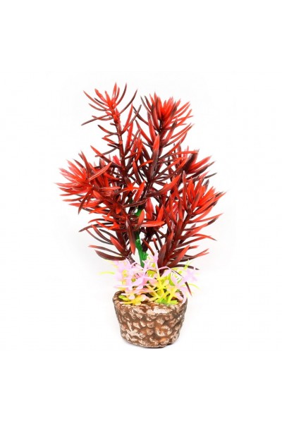 Искусственное растение Hobby Flora Stone 2 13см (51531)