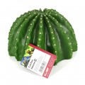 Декорация пещера кактус Hobby Cactus Home 3 17,5x17x10,8см (36243)