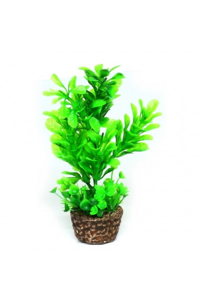 Искусственное растение Hobby Flora Stone 3 13см (51532)