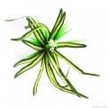 Искусственное растение Repti-Zoo Dracena Marginata 30см (TP016)