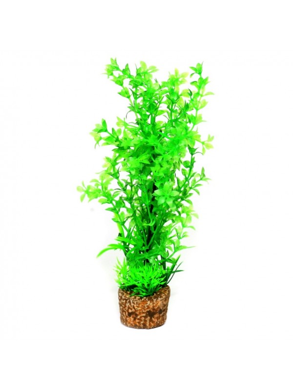Искусственное растение Hobby Flora Stone 6 25см (51535)