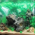 Декорація камінь з отворами Hobby Cavity Stone dark 1 16x8x16см (40145)