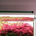 Світильник Chihiros B-Series B120 LED 120-140 см розумне RGB-освітлення для акваріума