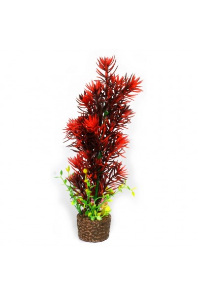 Штучна рослина Hobby Flora Stone 8 25см (51537)