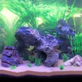 Декорация камень с отверстиями Hobby Cavity Stone dark 3 18x14x28см (40147)