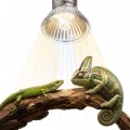 Лампа для террариума Terrario Tayenna 50W UVB 3.0 E27 для тропических рептилий и амфибий