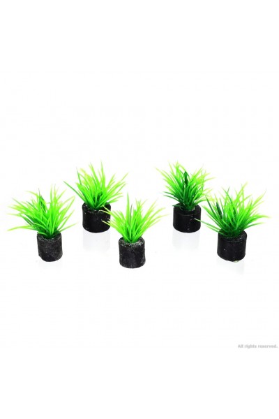 Искусственное растение, набор Hobby Eleocharis mini 1,5x1,5x3см 5шт. (51548)