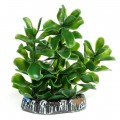 Искусственное растение Hobby Bacopa 7см (51555)