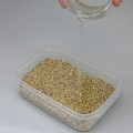 Инкубатор пластиковый на 14 яиц Hobby Easy Breeder Box (36317)