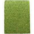Фон моховой Repti-Zoo Natural Moss Back & Bottom 50x25см 2шт. (NCM5025)