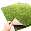 Фон моховой Repti-Zoo Natural Moss Back & Bottom 50x25см 2шт. (NCM5025)