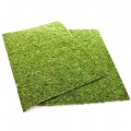 Фон моховой Repti-Zoo Natural Moss Back & Bottom 50x25см 2шт. (NCM5025)