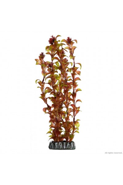 Искусственное растение Hobby Rotala 30см. (41518)