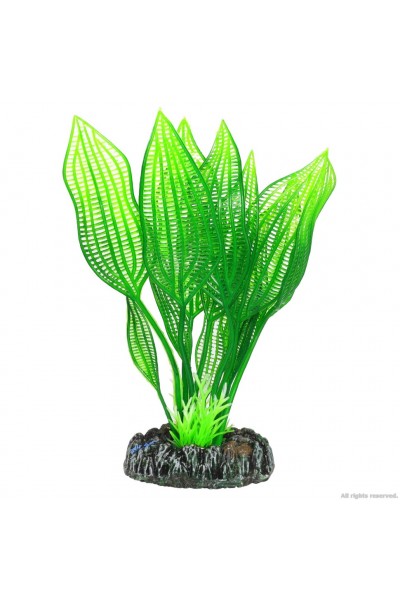 Штучна рослина Hobby Aponogeton 16см (51577)