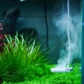 Антиводорослевий стерилізатор Chihiros Doctor Mate для акваріумів до 125 л з Bluetooth керуванням