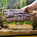Плаваючий острів для черепах Hobby Turtle Island 1 17,5x11см (35025)