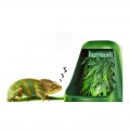 Фонтан для хамелеонів і геконів Repti-Zoo Reptile Drinking (DF01)