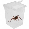Террариум, фаунариум Terrario Insect Box High 9x9x11см