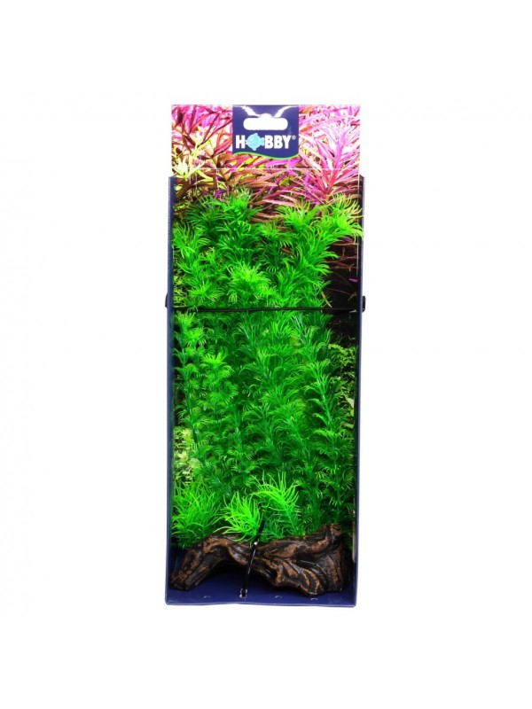 Штучна рослина Hobby Flora Root 3 L 30 см (51598)