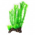 Штучна рослина Hobby Flora Root 3 L 30 см (51598)