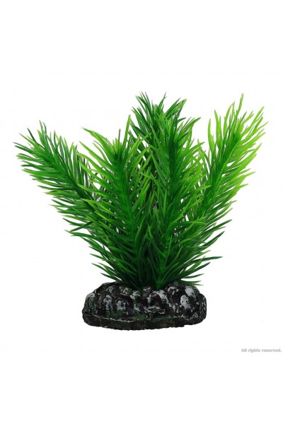 Штучна рослина Hobby Mayaca 7см (51584)