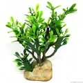 Искусственное растение кактус Hobby Euphorbia M 15x7x17см (36999)