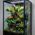Цифровой контроллер влажности для террариума Hobby Biotherm Hygro Control (10887) Цифровой контроллер влажности для террариума Hobby Biotherm Hygro Control (10887)