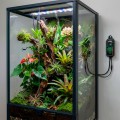 Цифровой контроллер влажности для террариума Hobby Biotherm Hygro Control (10887) Цифровой контроллер влажности для террариума Hobby Biotherm Hygro Control (10887)