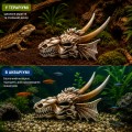 Декорация черепа дракона Hobby Dragon Skull S 12,5×9×8,5 см для аквариума и террариума (32074) Декорация черепа дракона Hobby Dragon Skull S 12,5×9×8,5 см для аквариума и террариума (32074)